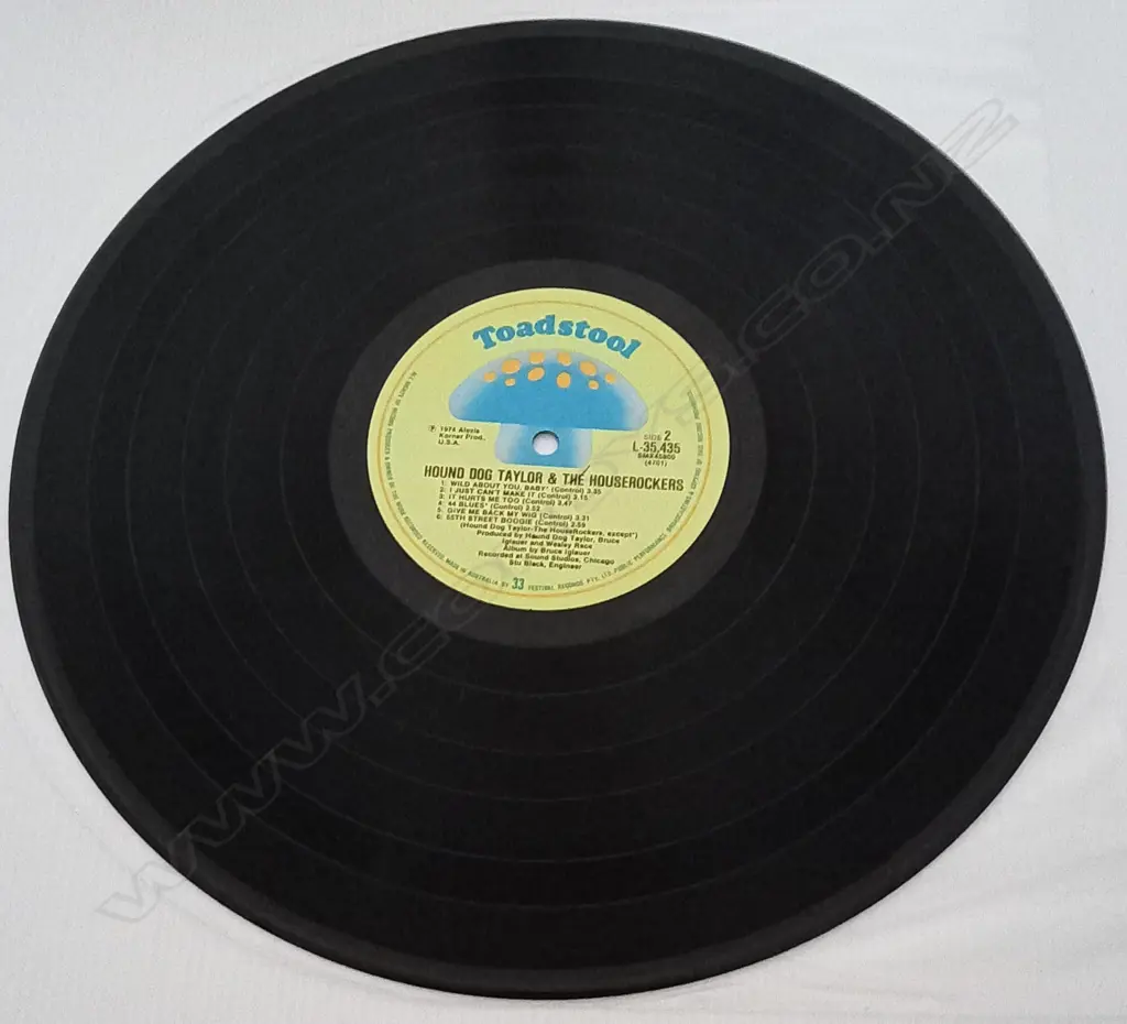 Hound Dog Taylor & The House Rockers, Hound Dog Taylor And The House Rockers Image 1++